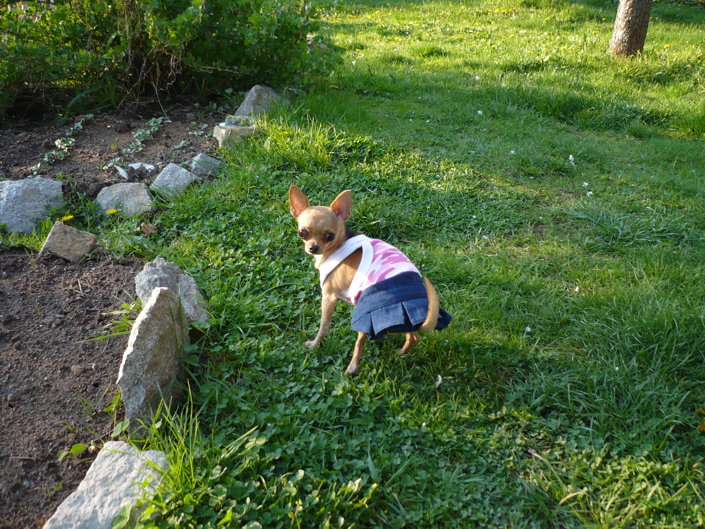 P1030350.JPG